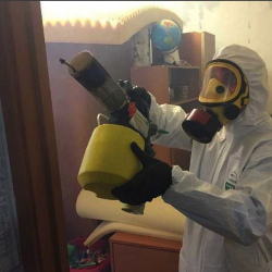 Уничтожение клопов в квартире. Сусуман